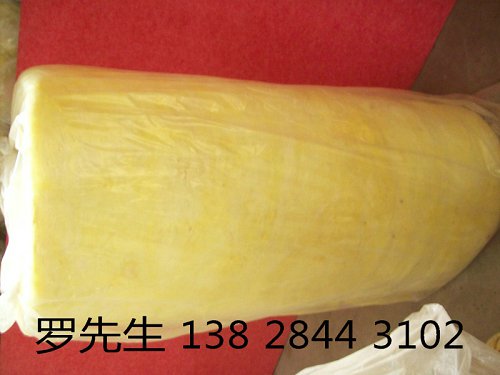 conew_100_7095.jpg